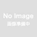 CH12840500(50Ω)